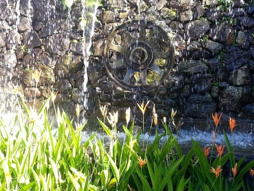 Hotel La Pedregosa メリダ エクステリア 写真